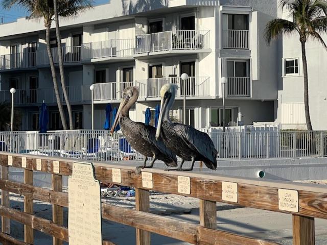 Casa Clara Condos Key Colony Beach Экстерьер фото